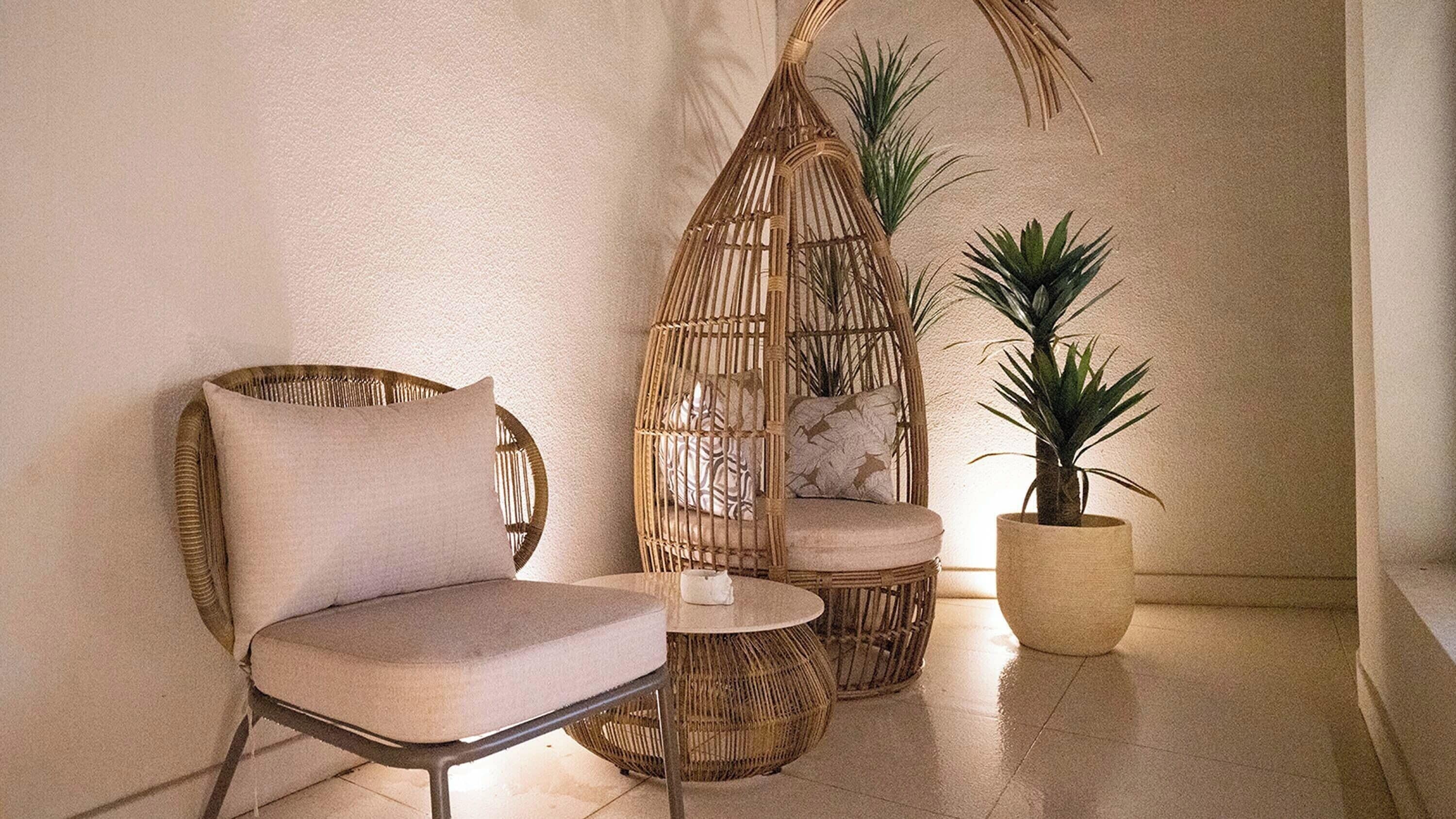A room with a wicker chair, a round wicker table, and a potted plant.