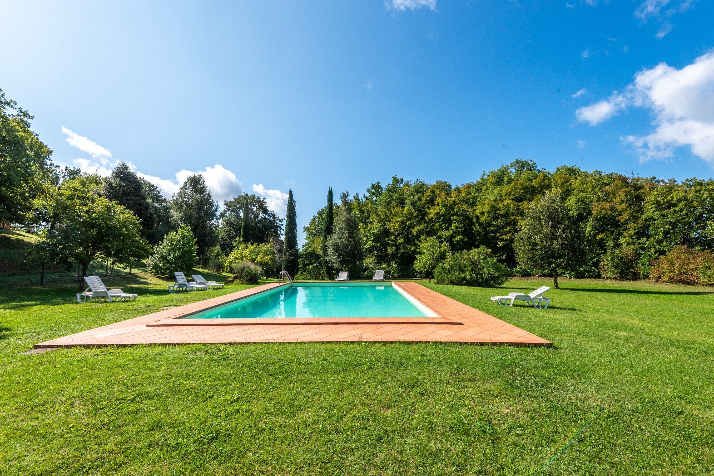 A rectangular swimming pool with a wooden deck, surrounded by a grassy lawn and trees.