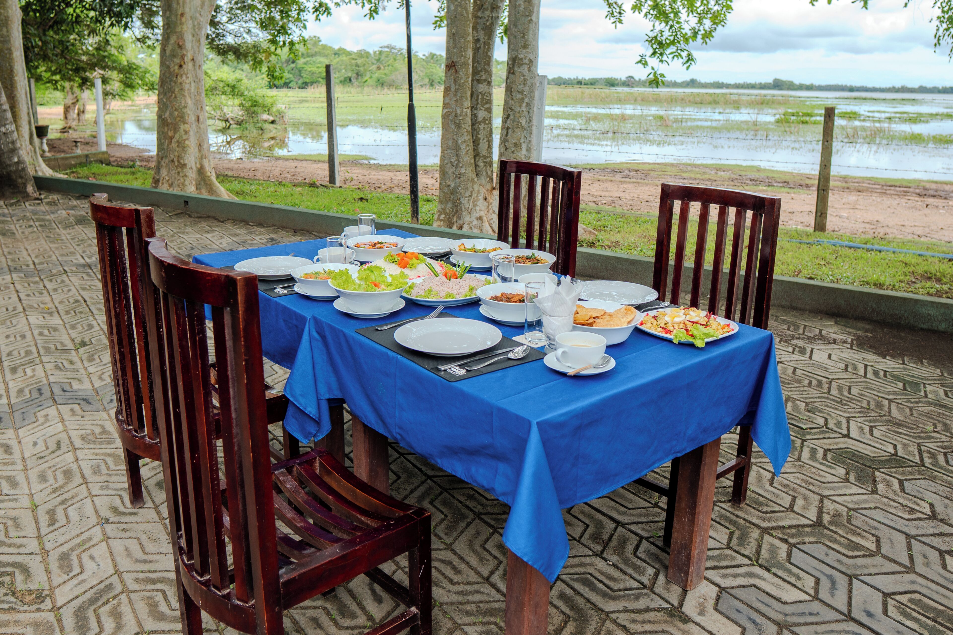 Una mesa dispuesta para una comida con varios platos, rodeada de sillas, con vista a un cuerpo de agua y árboles al fondo.