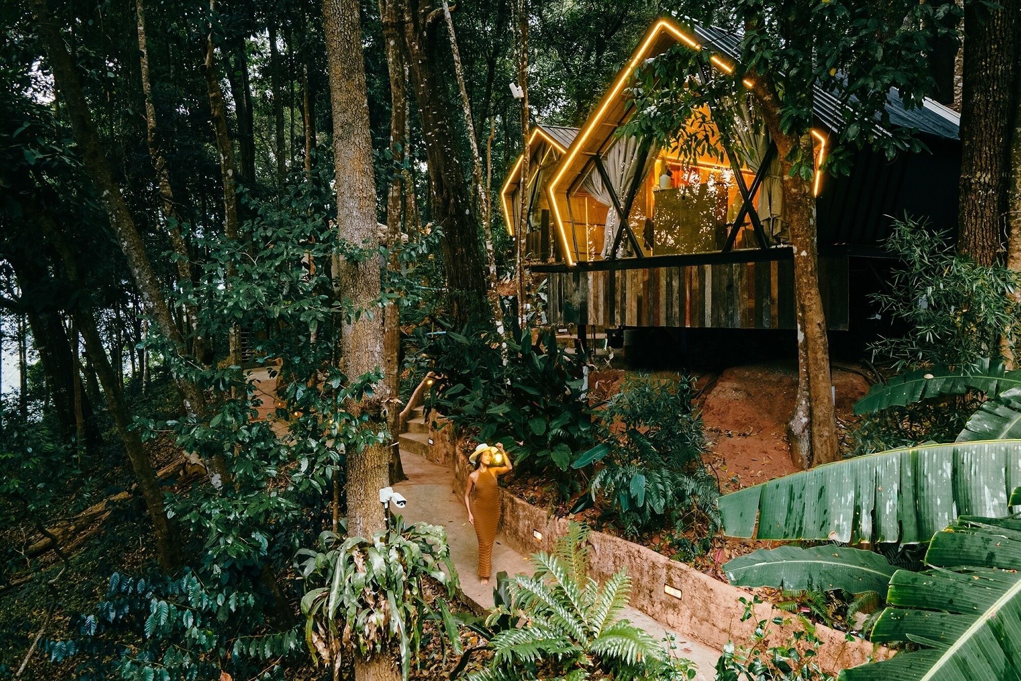 A treehouse structure with a wooden staircase leading up to it, surrounded by dense forest.