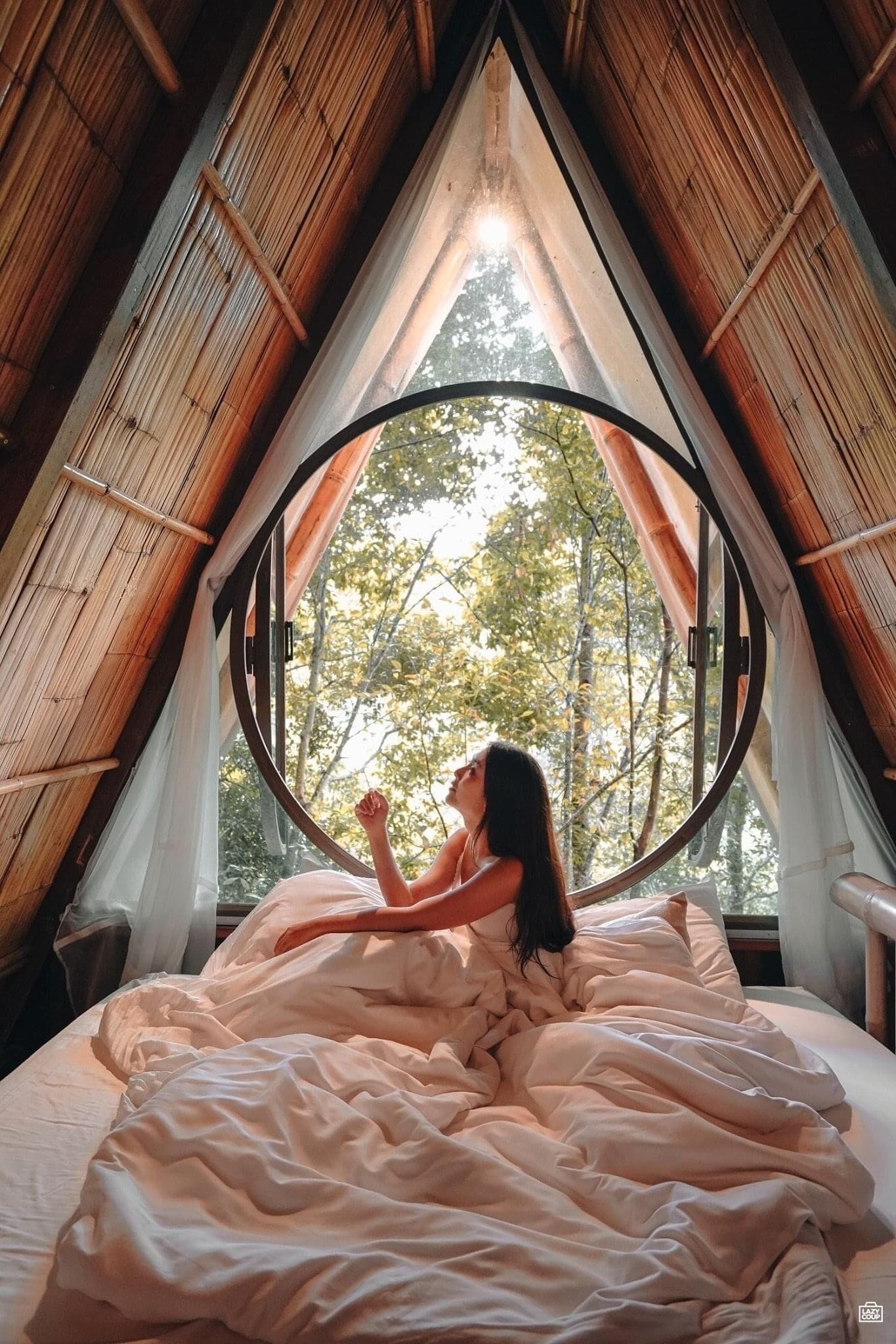 Tende oscuranti, Wi-Fi gratuito