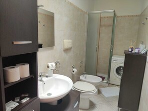 Shower, hair dryer, bidet, towels