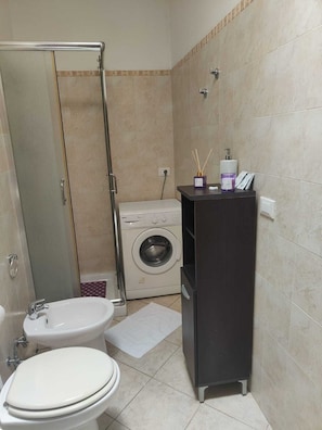 Shower, hair dryer, bidet, towels
