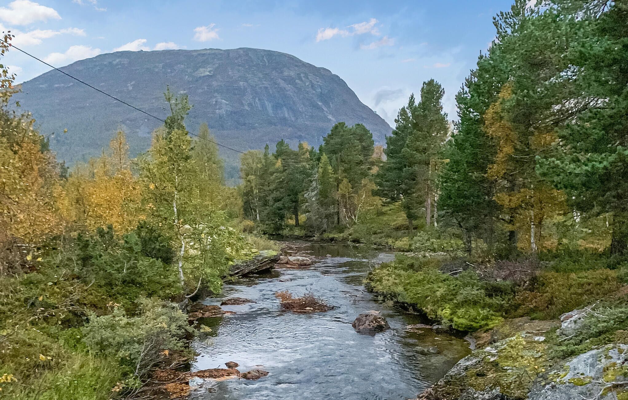 En flod som flyter genom en skog med ett berg i bakgrunden.