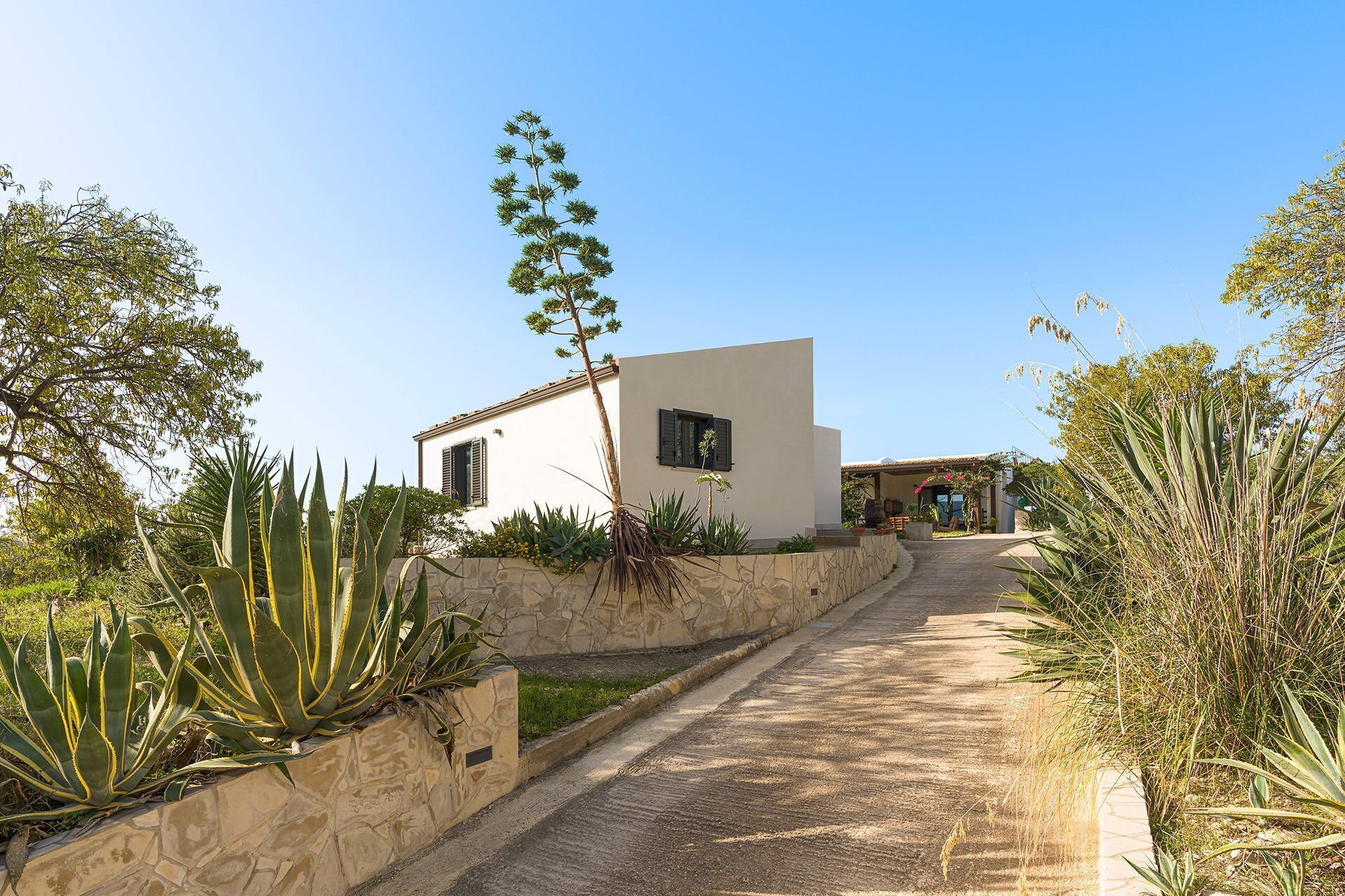 A pathway leading to a building with a stone wall and tropical plants.