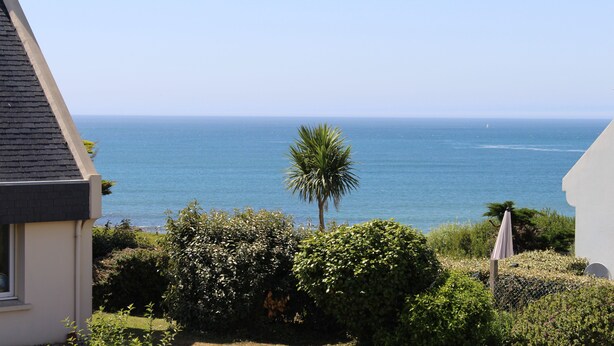 A coastal view with a house, a palm tree, and a clear sky. - L'Abri de la Plage, L'Abri de la plage - Maison de bord de mer en Bretagne (Lampaul-Plouarzel)
