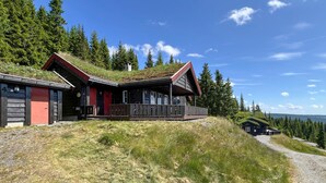 Une cabane avec un toit en pente, une terrasse en bois et une vue sur la forêt environnante.