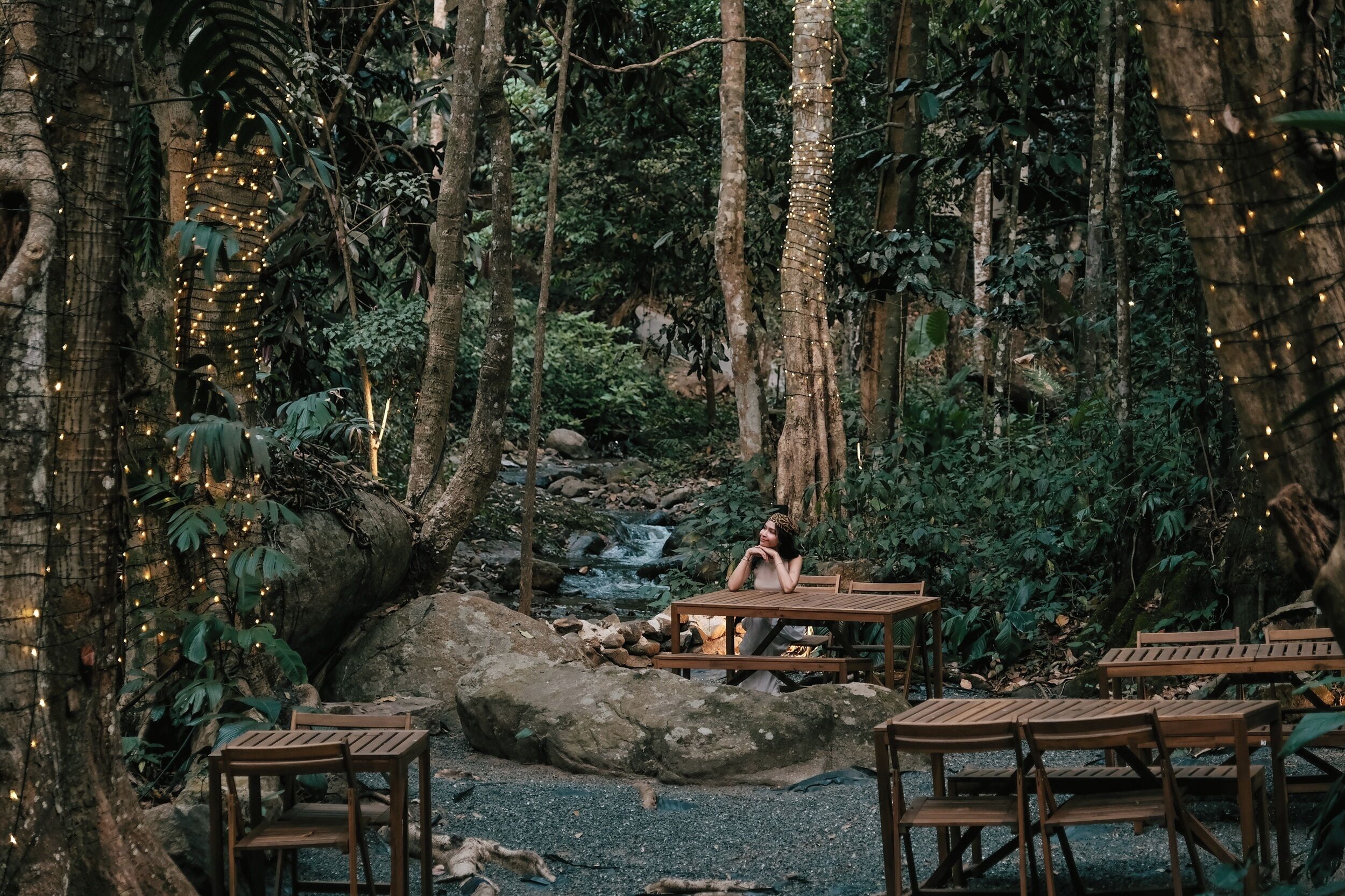 A forested area with wooden tables and benches, a small waterfall, and string lights.