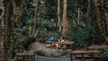 A forested area with wooden tables and benches, a small waterfall, and string lights.