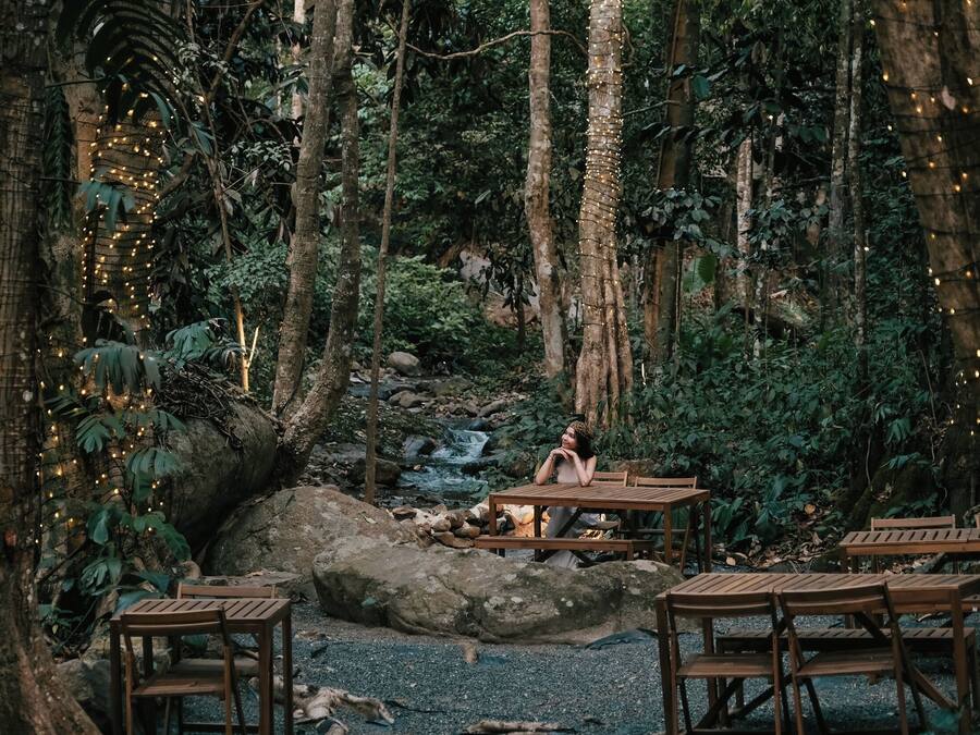 A forested area with wooden tables and benches, a small waterfall, and string lights.
