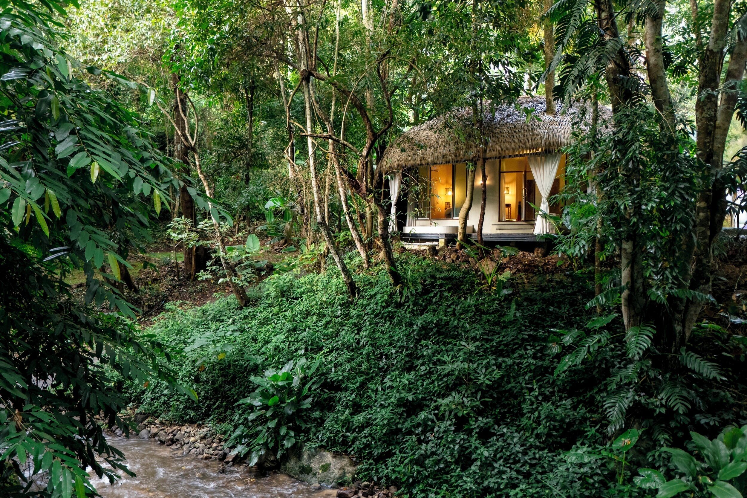 Une cabane isolée perchée dans un arbre, avec un toit de chaume, entourée d’une forêt dense et traversée par un petit ruisseau.