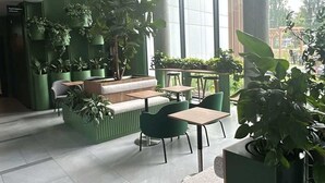 Un ambiente interno moderno con pareti verdi, diverse zone salotto e piante in vaso.