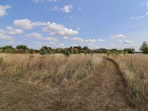 Miscellaneous - The Little Loft (Burford)