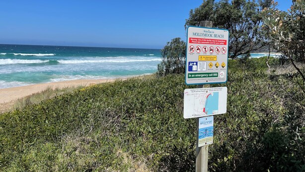 A beach sign with safety warnings and emergency contact information. - Mollymook Beach Bungalow (Mollymook Beach)