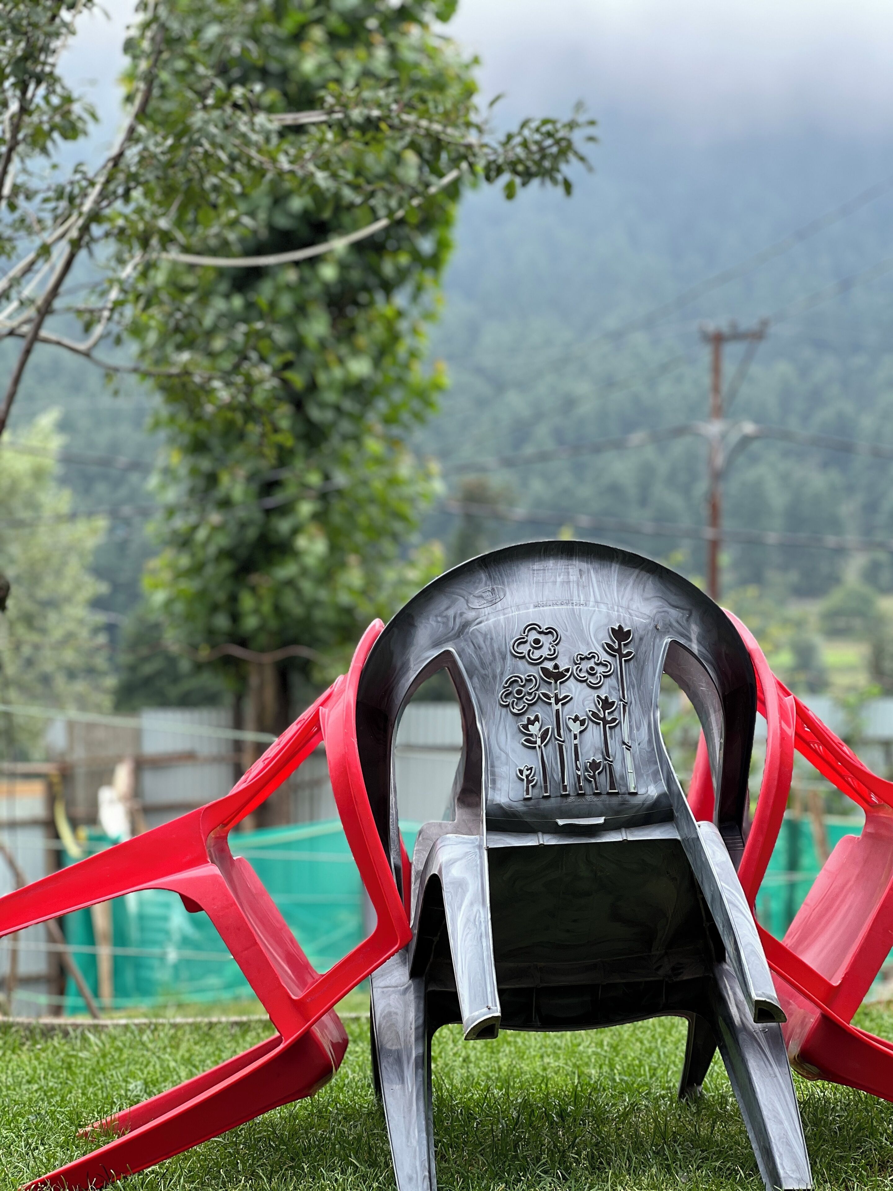 A chair with a floral design in a grassy area with trees in the background.