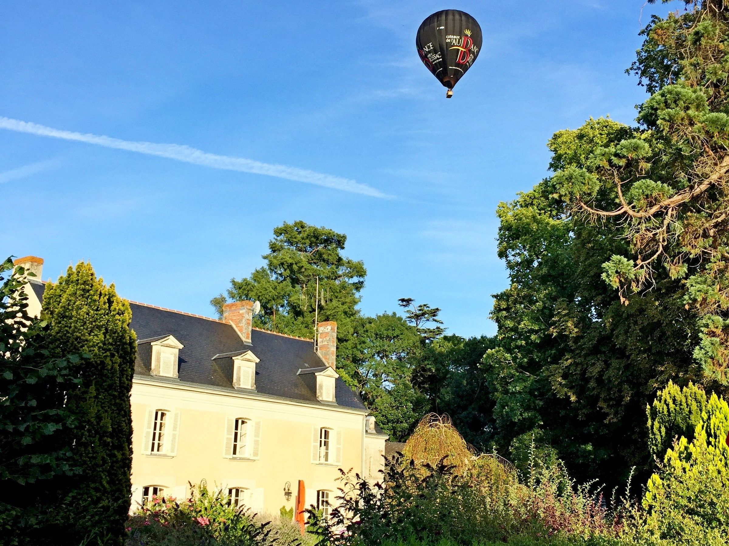Une maison avec une cheminée, entourée d’arbres, et un ballon à air chaud dans le ciel.