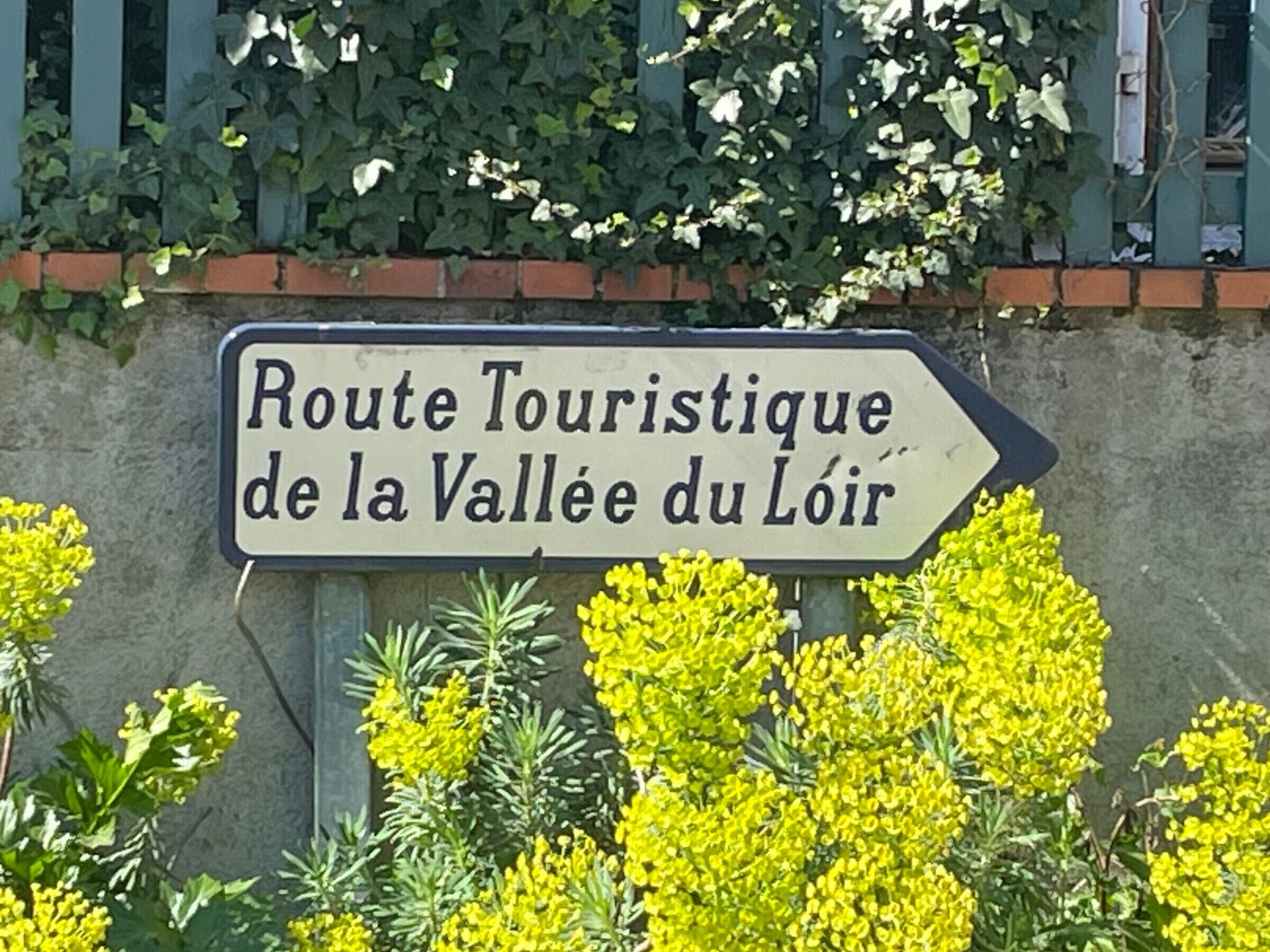 Detalle exterior