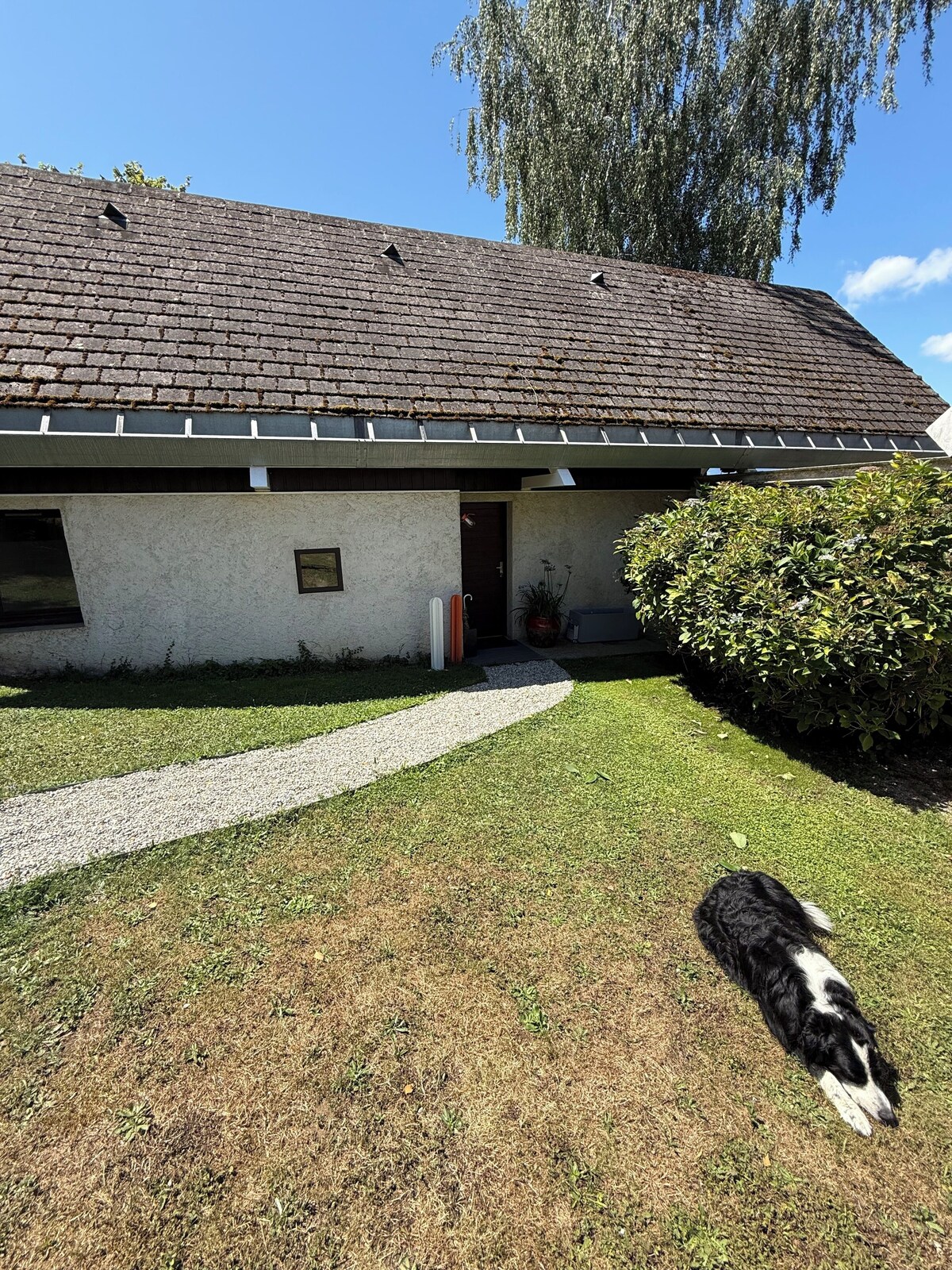 Värdens profilbild