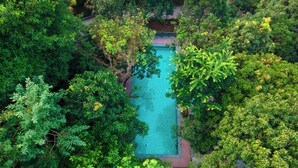 An aerial view of a rectangular swimming pool surrounded by dense greenery. - The Orchid Rishivan Rishikesh (Rishikesh)