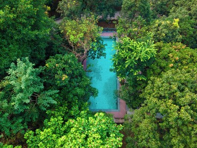 兰花里希万里希凯诗