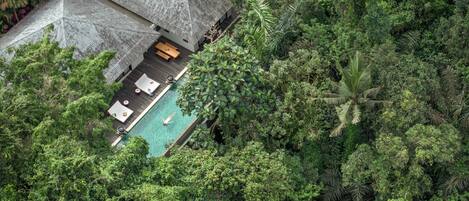 An aerial view of a resort with a pool, lounge area, and thatched-roof structures surrounded by dense forest.