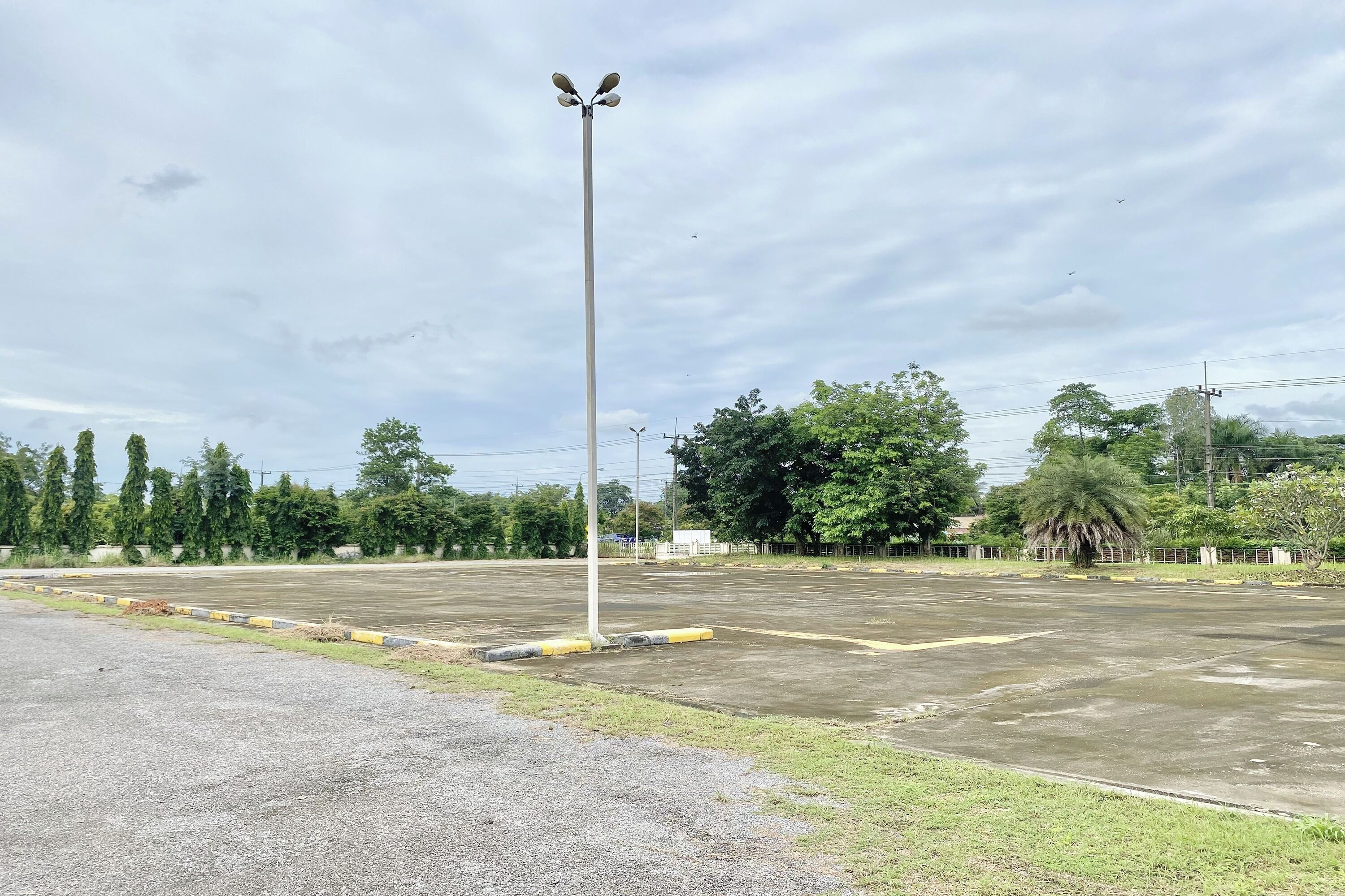 Un parking vide, avec un réverbère imposant, entouré d’arbres et de verdure.