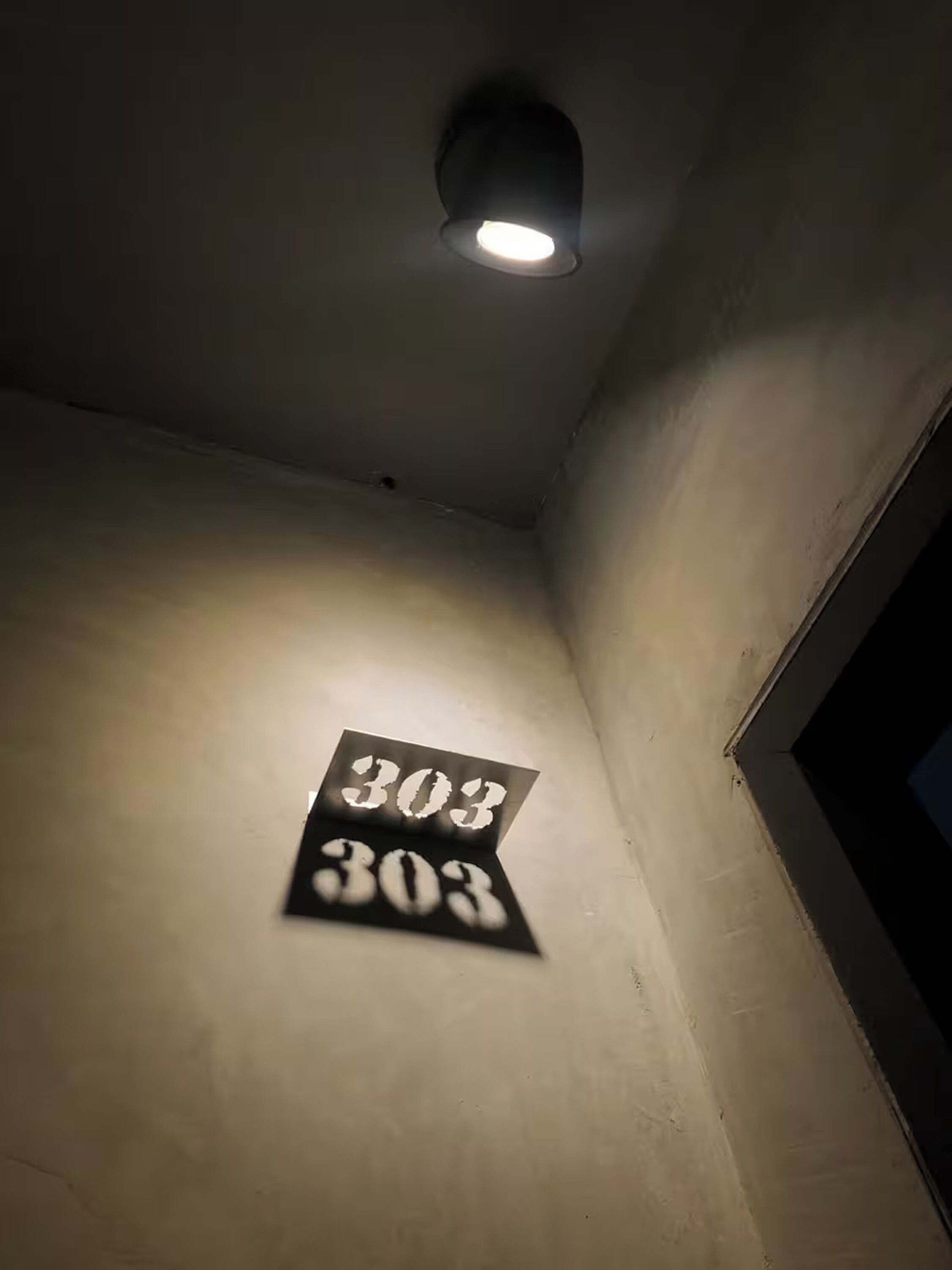 A ceiling light fixture and a wall-mounted sign with the number 303.