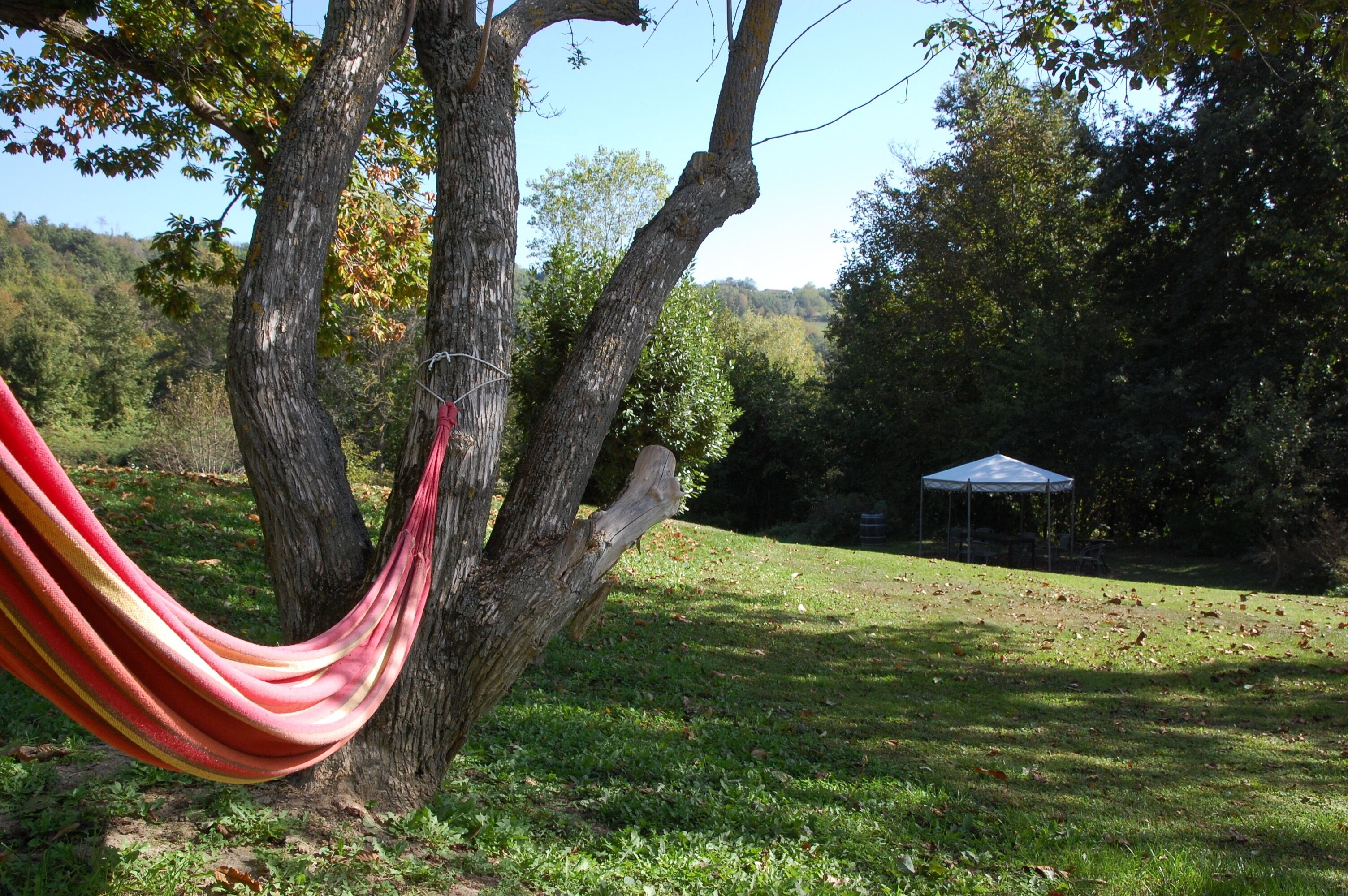 Un'amaca legata a un albero in una zona erbosa, con una tenda sullo sfondo.