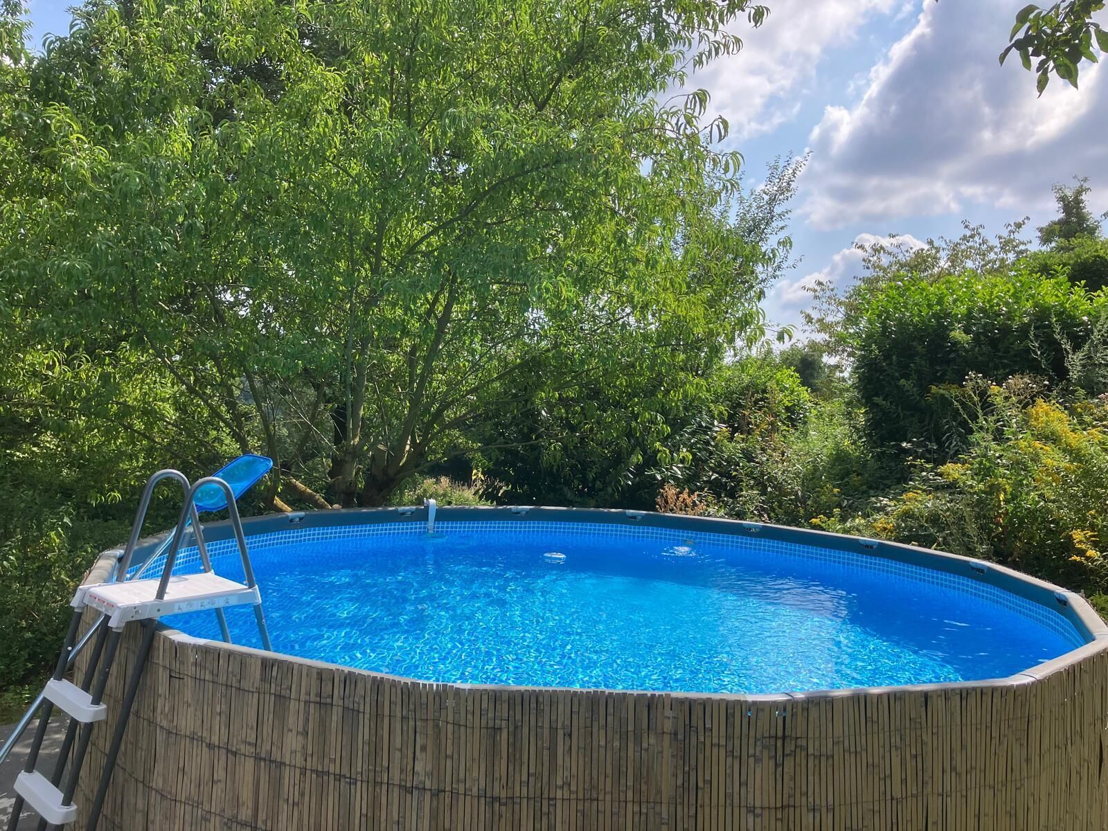 Piscina azul cristalina rodeada de exuberante vegetación y árboles.