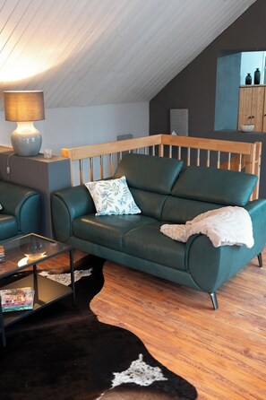 Smart TV, fireplace, DVD player, books