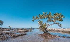 Beach - 2-Villa Combo w/ Private Pools by Beach (Provincia de Puntarenas)