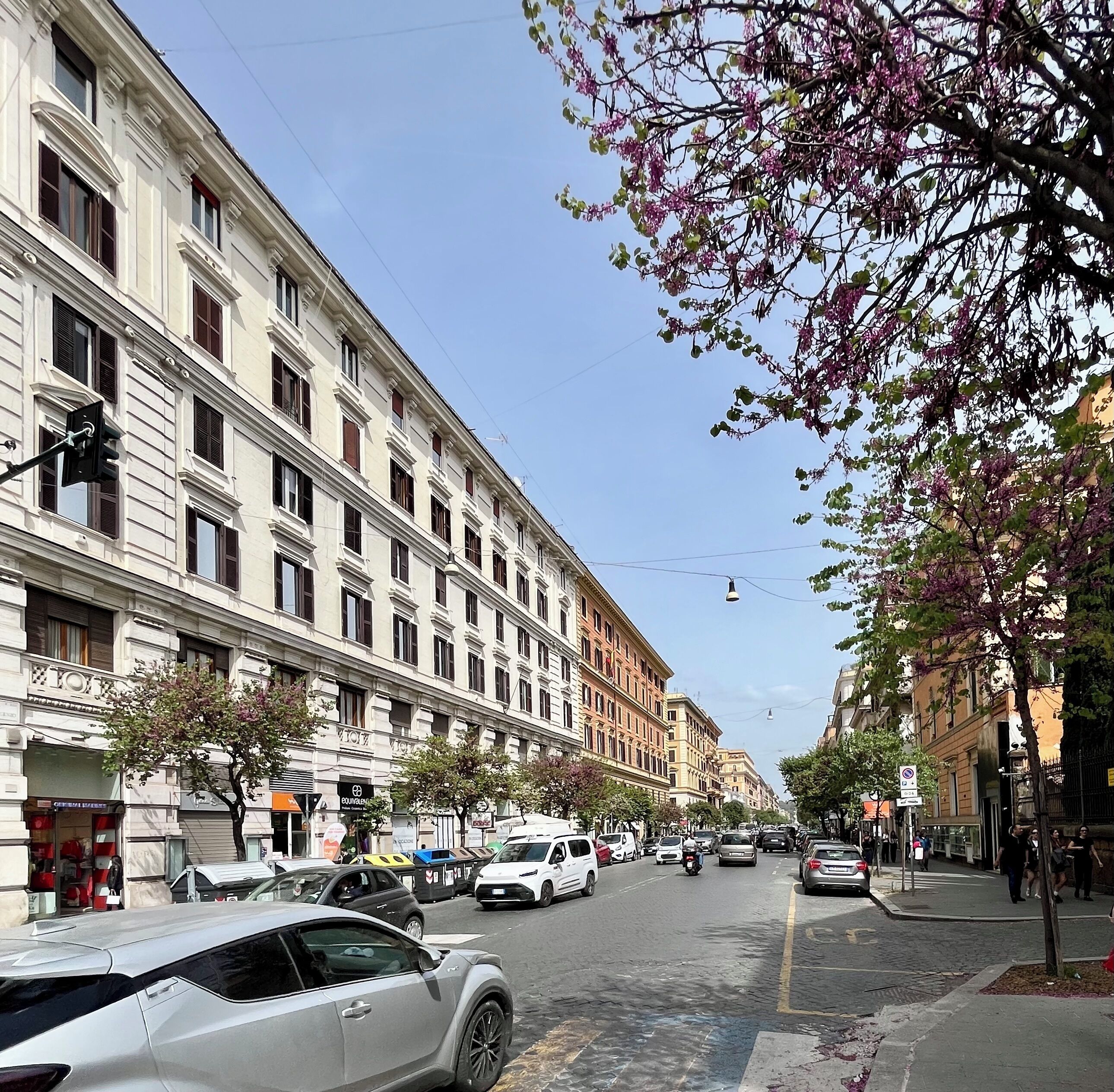 Une rue bordée d’immeubles à plusieurs étages, de voitures garées et d’un arbre aux fleurs roses.