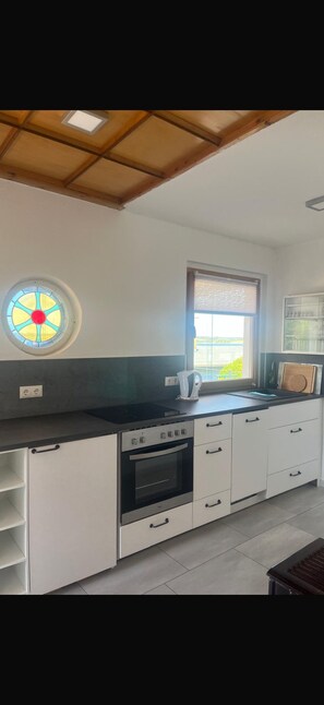 Fridge, stovetop, dishwasher, electric kettle