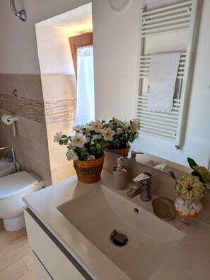 Regadera, secadora de cabello, bidet, toallas 