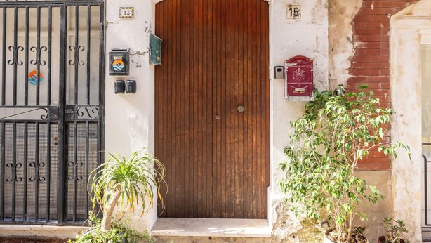 A wooden door with a metal gate, a mailbox, and a potted plant in front.