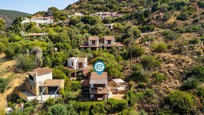 Un quartier résidentiel situé sur une colline, composé de plusieurs maisons, dont certaines à étages et d’autres de plain-pied, et entouré d’une végétation luxuriante.