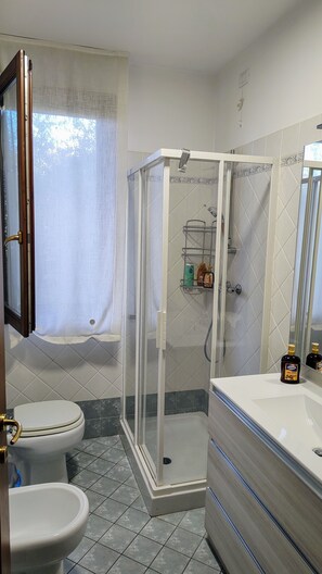 Shower, hair dryer, bidet, towels