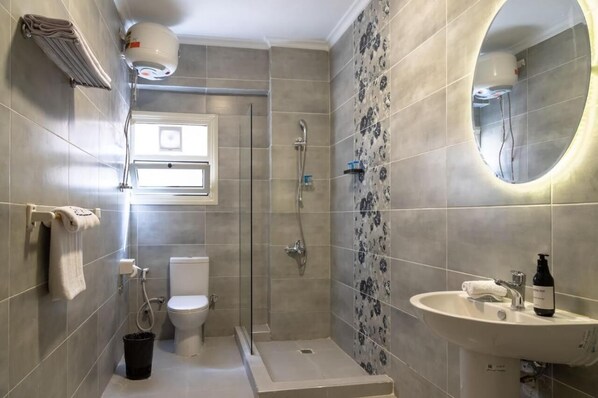 Shower, hair dryer, bidet, towels