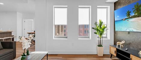 Smart TV, computer monitors