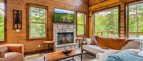 Télévision, cheminée, jeux vidéo