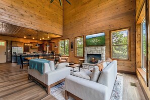 TV, fireplace, video games