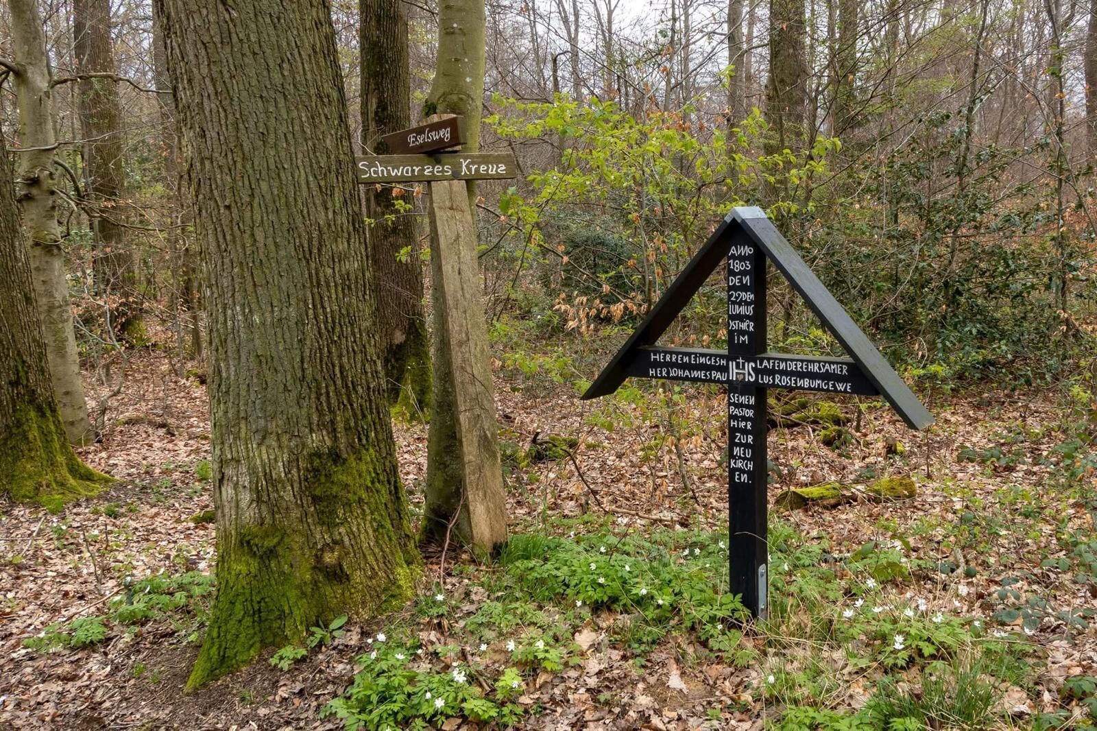Ein Wegweiser in bewaldeter Landschaft mit verschiedenen Richtungen und historischen Verweisen.
