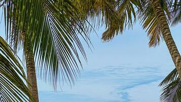 Private beach, white sand, sun loungers