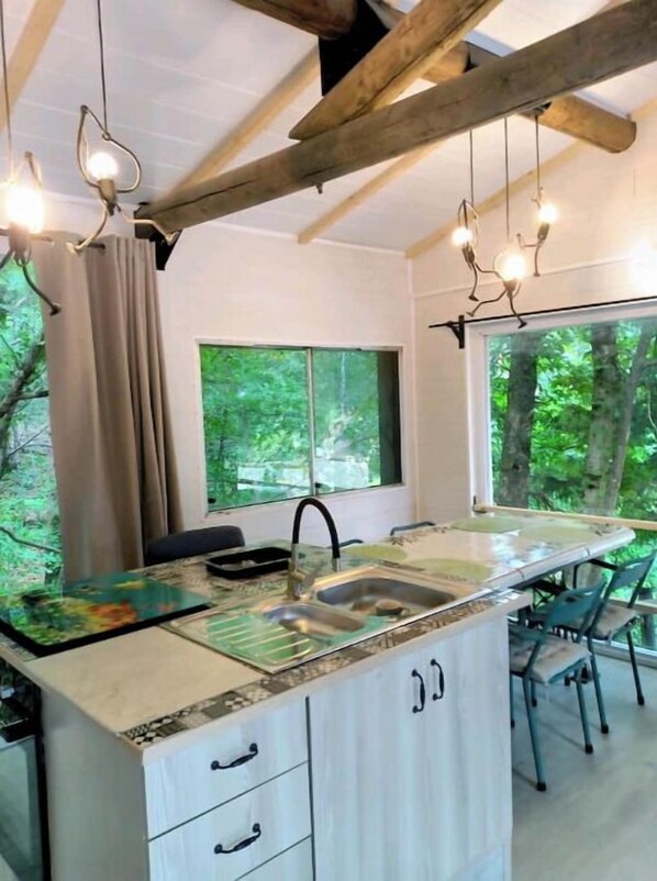Private kitchen - Chalet in the heart of the forest Animals ok (Concoules)