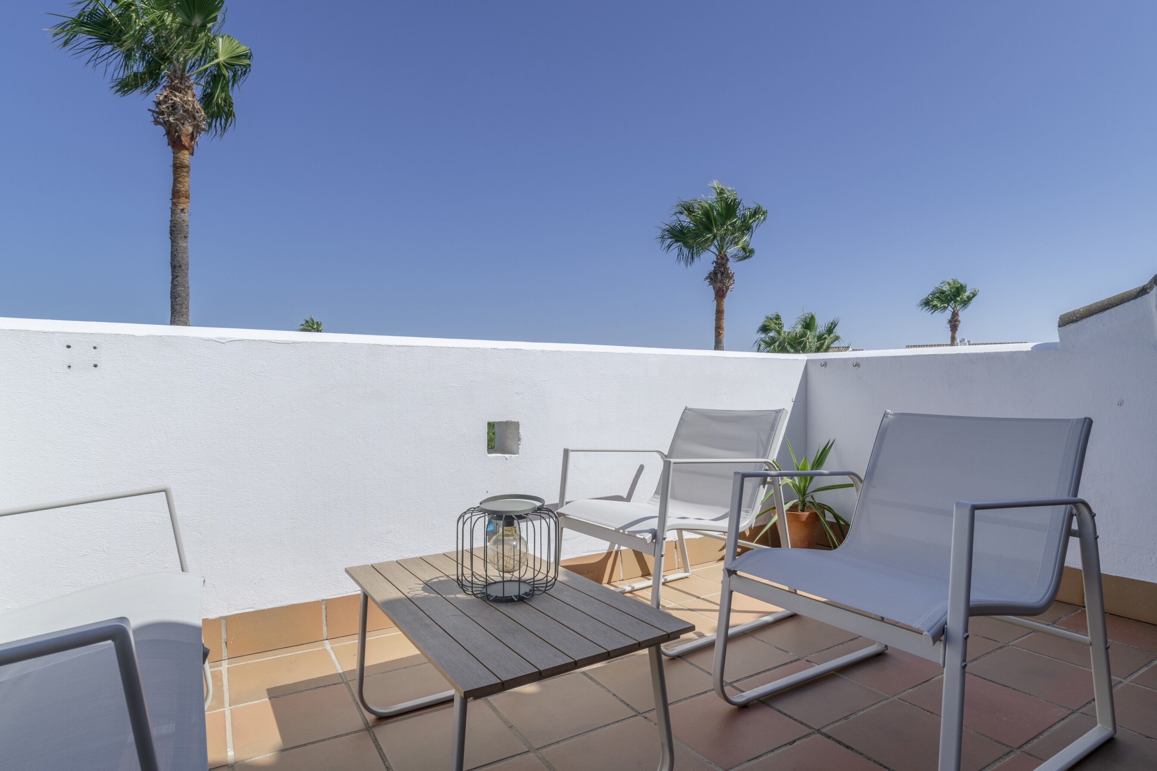 Una terraza con una mesa, dos sillas, una planta en maceta y una palmera.