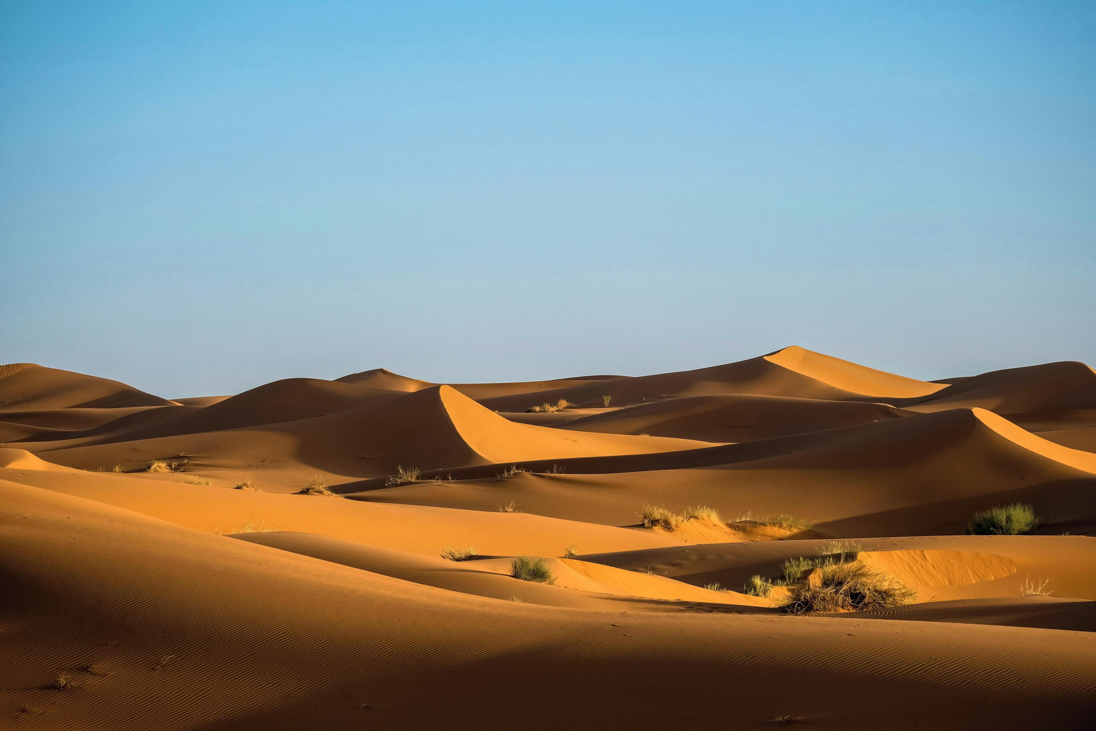 A desert landscape with sand dunes.