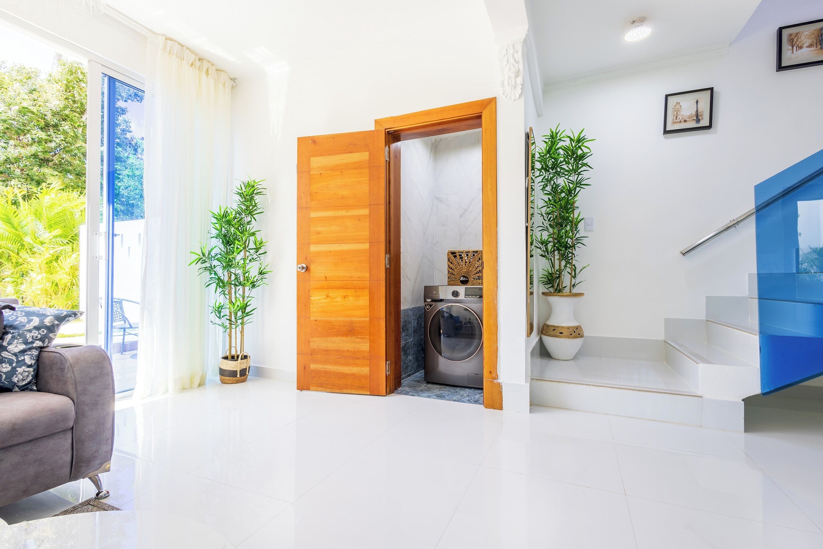 A modern living room with a sofa, a wooden door leading to a laundry area, and potted plants.