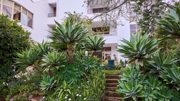 A multi-story building with a garden area featuring various plants and a staircase leading to the upper floors. - Garden Hills Hotel (Addis Ababa)