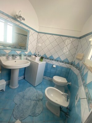 Secador de pelo, toallas, jabón y papel higiénico