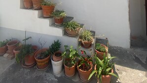 A white building with a tiled roof and a staircase leading to a door. There are multiple potted plants on the steps and around the building. - CASA DONNA CONCETTA (Positano)